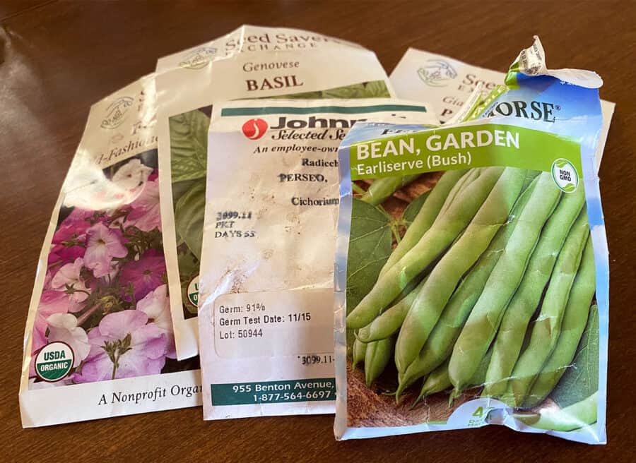 how-to-test-the-viability-of-garden-seeds-momigarden